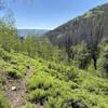 Horse Canyon Trail