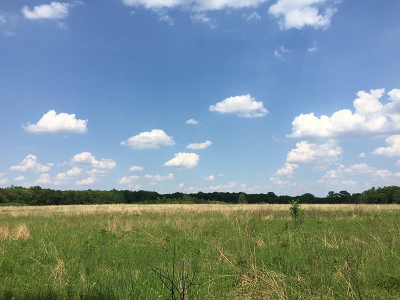 Nice view of the front part of the prairie.