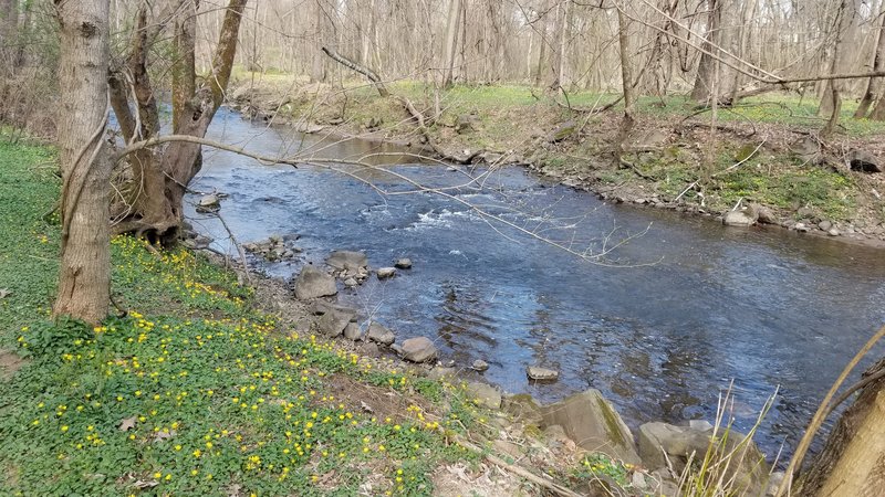 White water rapids for squirrels.