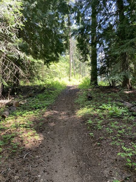 The end of Three Tree Butte