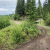 Trail 228 (Beason Meadows)