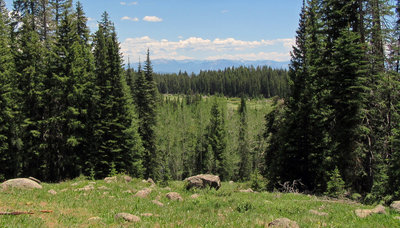 Nice views along the way of the West Elks.