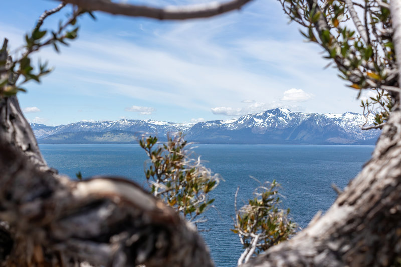 The snowy mountains across Lake Tahoe through the bushes on top of Cave Rock.