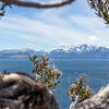 The snowy mountains across Lake Tahoe through the bushes on top of Cave Rock.