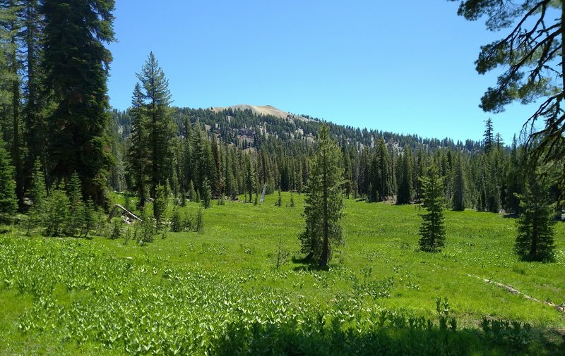 Mt. Conard, 8,204 ft., rises above Conard Meadows when looking south on Crumbaugh Lake Trail.