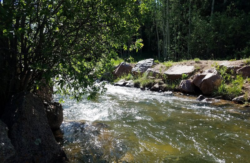 Swiftly flowing creek