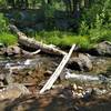 "Bridge" across Kings Creek along Kings Creek Trail deep in the backcountry.