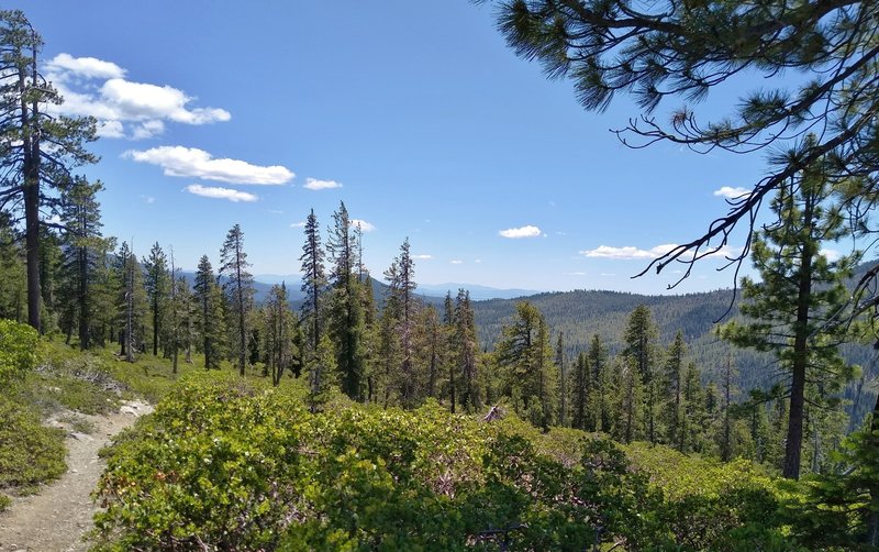 Views into the far distance to the east, as the trees thin high on Bench Lake Trail.