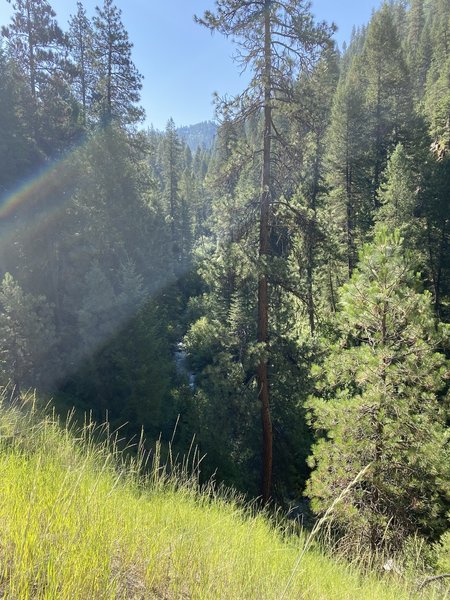 Overlooking Lightning Creek