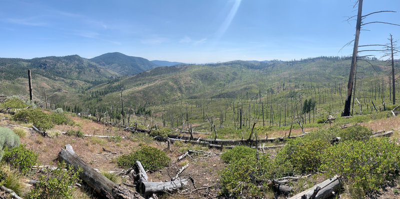 Panoramic view of the burn.