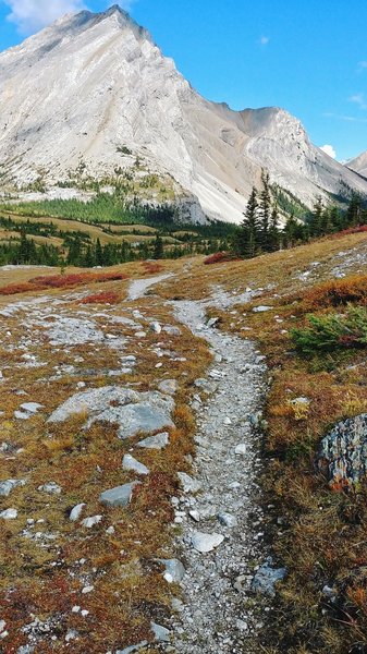 Elbow Pass heading towards Edworthy Falls.