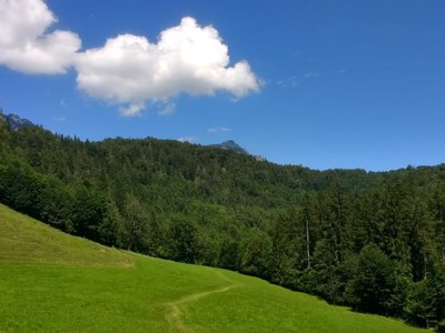 Höllenbachalm