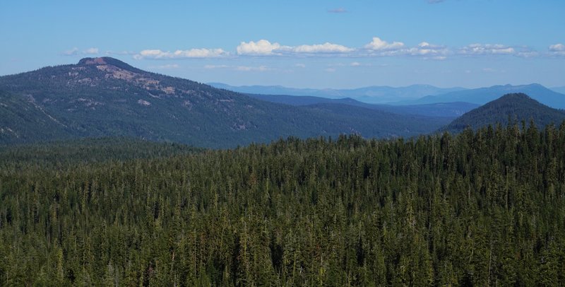 Looking south from the trail to Kings Creek Falls.