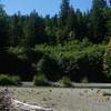 Redwood Creek from the Tall Trees Grove Trail.