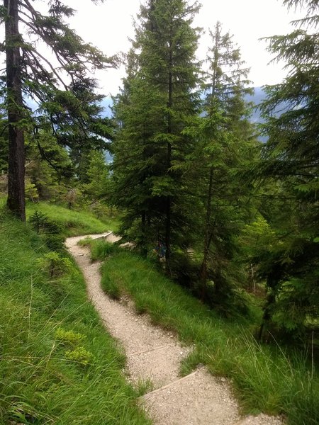 Trail down from Toter Mann peak