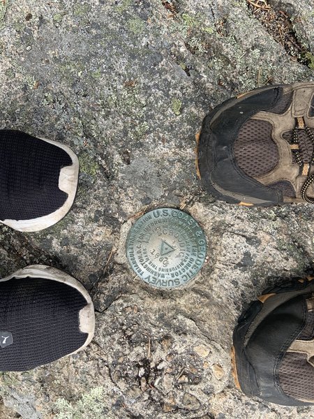 Medallion at the peak of Schoodic Head