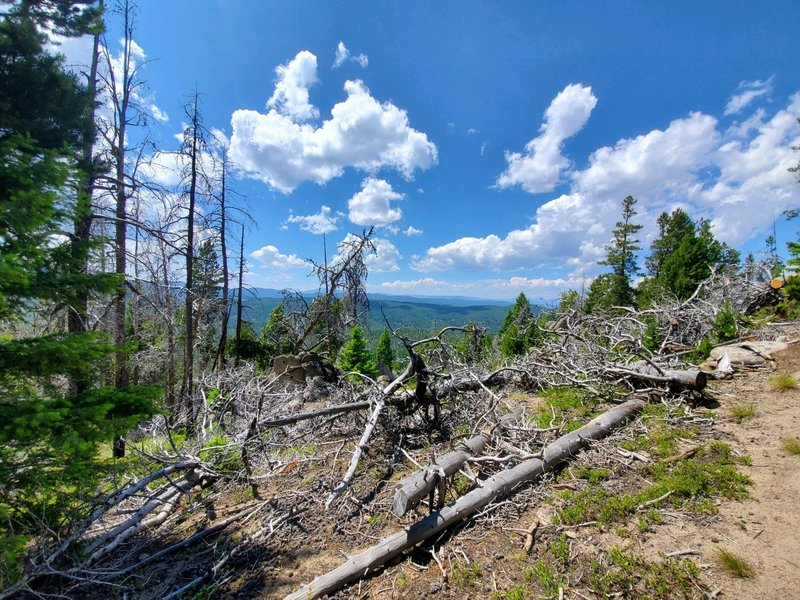 Looking to the southwest on one of the elevation gains.