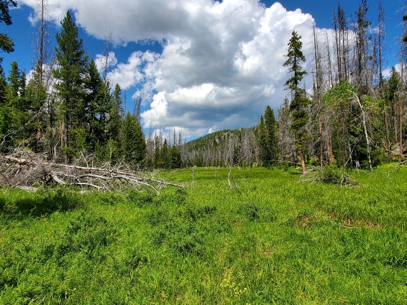 Looking towards the Beaver Ponds from the bridge.