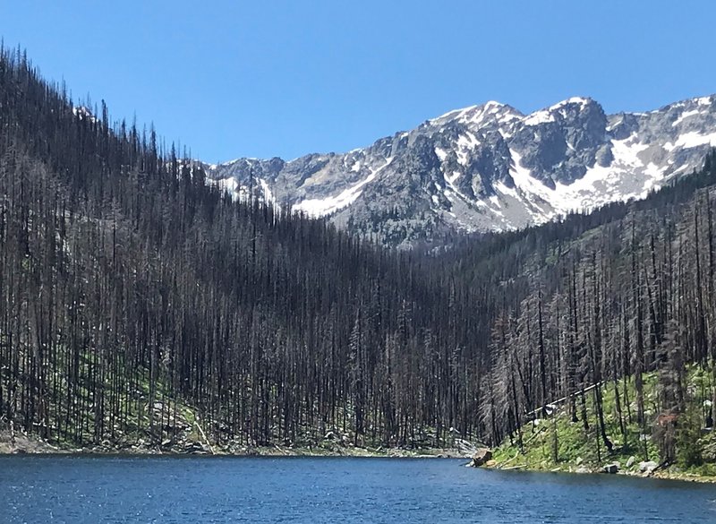 Burned Area at Eightmile Lake