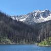 Burned Area at Eightmile Lake