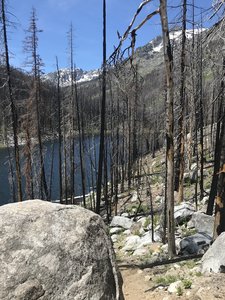 Burned Area at end of Eightmile Lake