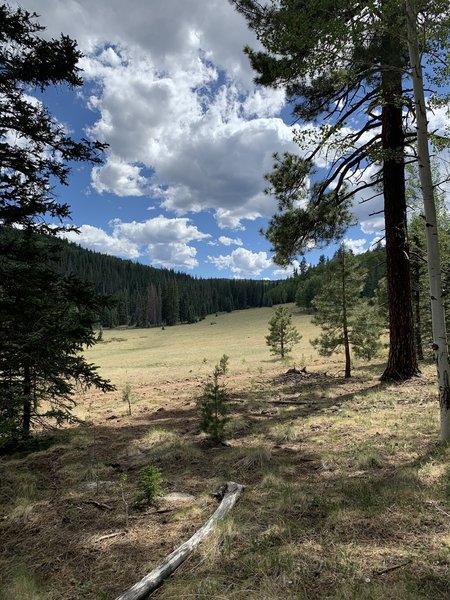 Meadow on the Crossover Trail