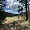 Meadow on the Crossover Trail