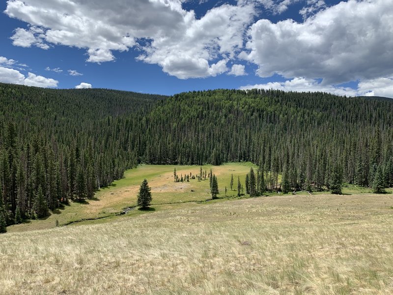 Big meadow before climbing up Baldy's flank.