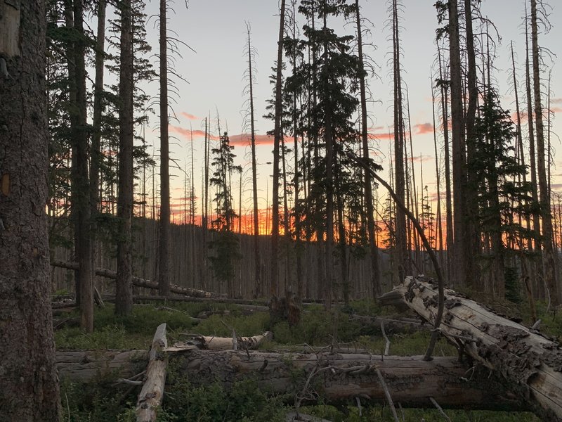 Sunset at a high camp near where #94 and #95 meet.