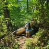 Huge tree blow-down on Deep Creek Trail.