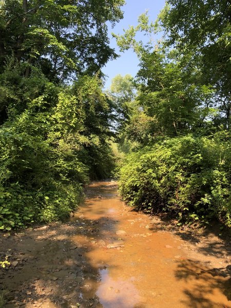 CVNP is lookin good today