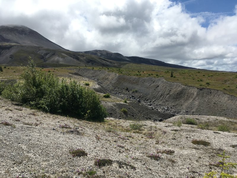 Windy trail landscape