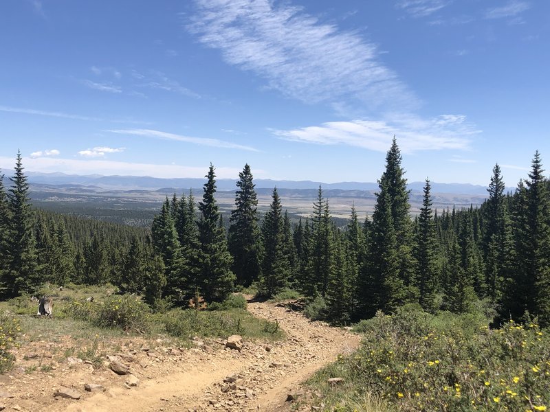 Near top of Browns Pass Trail