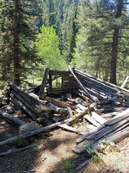 Cabin Remains near end of Mule Trail.