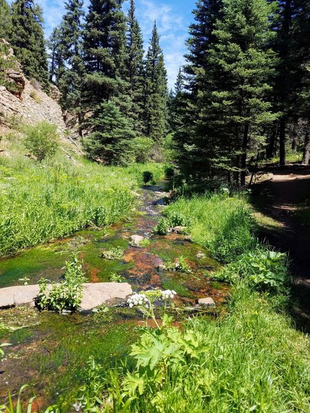 Hike alongside a beautiful creek most of the way!