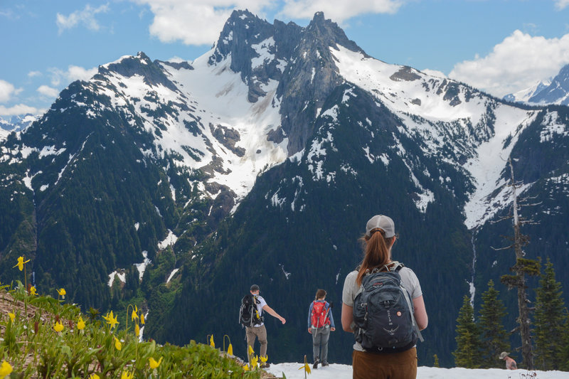 Avalanche Lilies and Mount Sefrit.