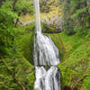 Vibrant moss helps Pup Creek Falls really pop.