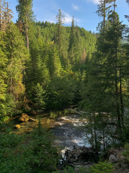 The Breitenbush River below the trail in early summer.