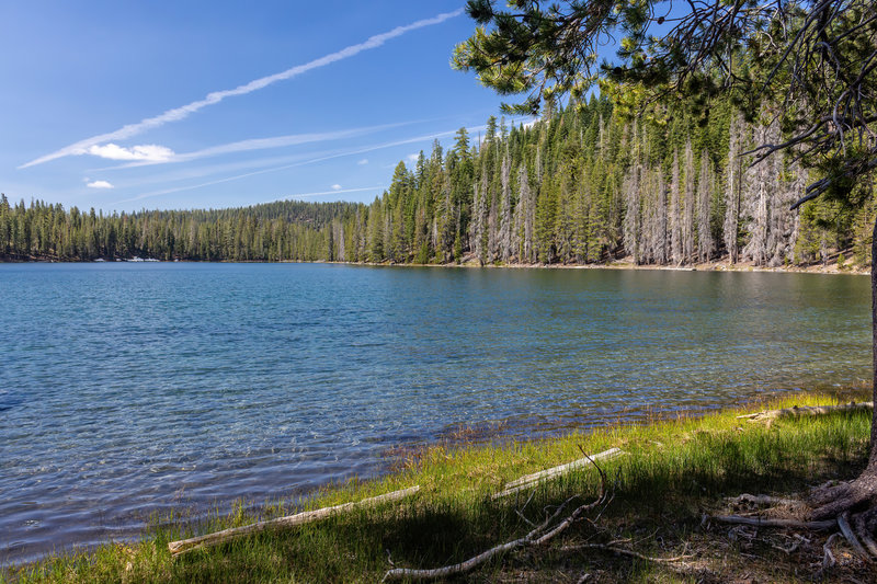 Northern shore of Lower Twin Lake