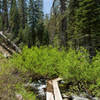 One of many small bridges across Grassy Creek