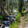 The trail closely parallels Grassy Creek