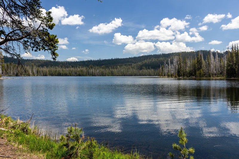 Horseshoe Lake