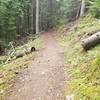 view of what most of the trail is like.  Rolling path through the trees