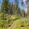 lots of up and down on this trail.  Steep at times with no switchbacks or steps