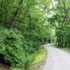 West alignment of loop trail, looking Eastward.  Divides wetlands and bottom land woods habitat, on the left.