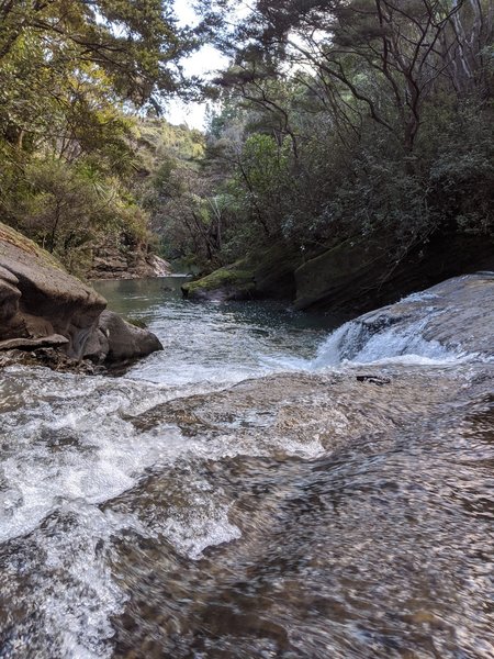 Mokoroa Stream