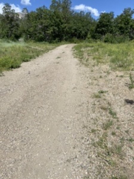 Beginning part of the trail is a road for vehicles.  Only had one car pass us