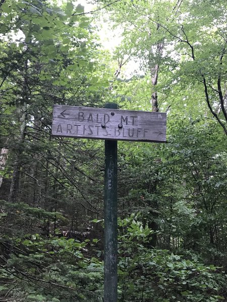 Sign at the beginning of the Bald Mountain Spur