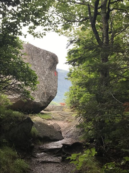 The trail leading to the Artists Bluff overlook.