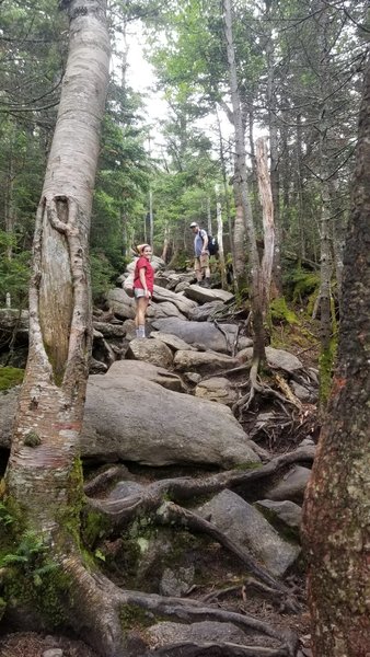 No Conservation Corps switchbacks along these trails. It's up and down big rock virtually the entire route.